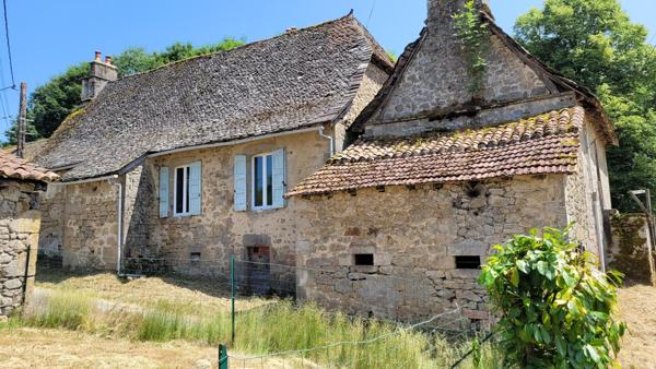 Maisons auvergnates (1 grande et 1 petite) avec terrain