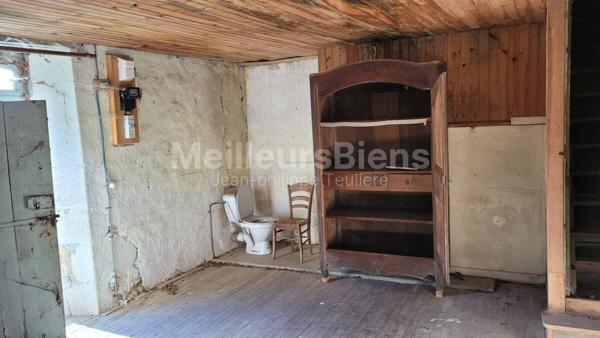 Maisons auvergnates (1 grande et 1 petite) avec terrain