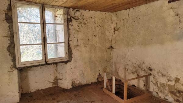 Maisons auvergnates (1 grande et 1 petite) avec terrain