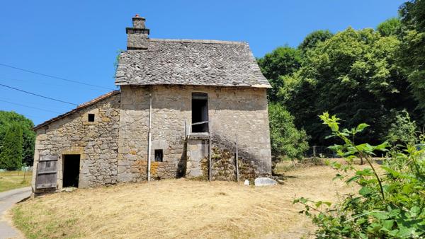 Maisons auvergnates (1 grande et 1 petite) avec terrain