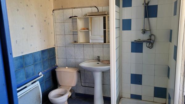 Maisons auvergnates (1 grande et 1 petite) avec terrain