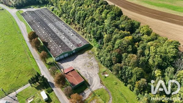 Murs commerciaux  à vendre 7 000 m² Bourbonne-les-Bains
