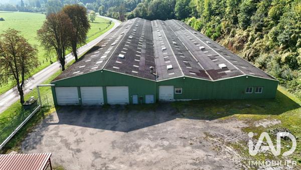 Murs commerciaux  à vendre 7 000 m² Bourbonne-les-Bains