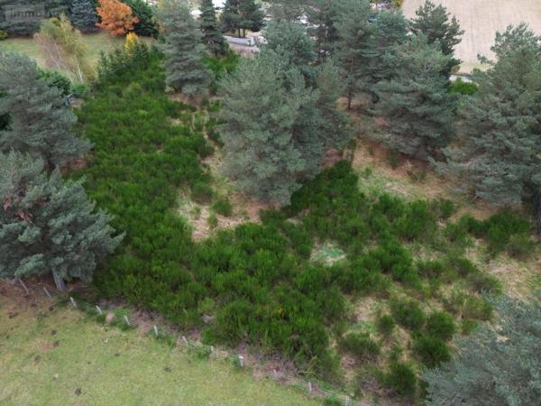 Terrain à Batir à vendre à Saint-Chély-d'Apcher en Lozère (48200), ref : 48032-126