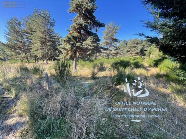 Terrain à Batir à vendre à Saint-Chély-d'Apcher en Lozère (48200), ref : 48032-126