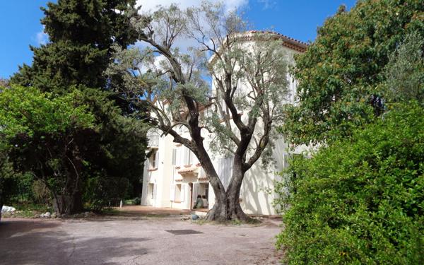 Maison à vendre    9 pièces •  Toulon