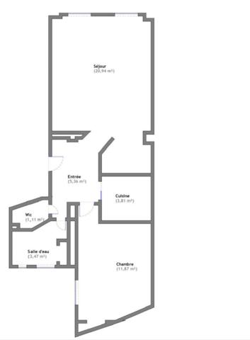 Grand 2 pièces 47 m² en RC rue et cour