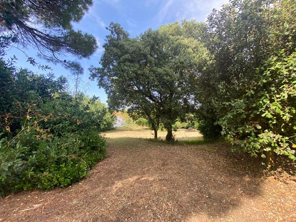 secteur dune , proche centre