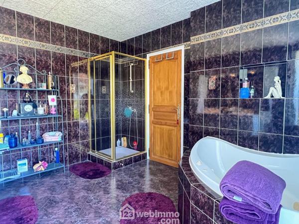 Maison 221 m² à Brissac Loire Aubance 49320