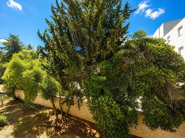 Appartement Sète 4 pièces 80 m²