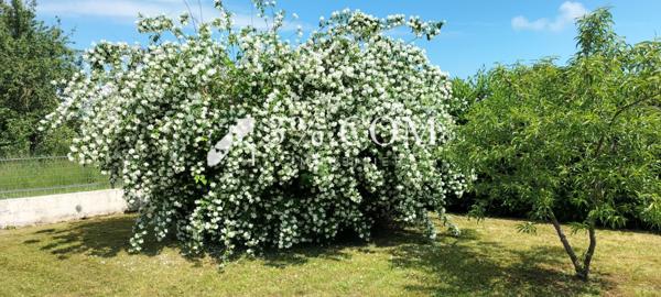 Maison 7 pièce(s) 3 chambre(s) 147 m²