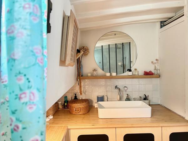 Paris (75012) Grand loft familial avec terrasse panoramique aménagé dans une péniche navigante