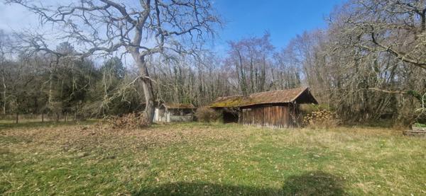 Maison à vendre 8 pièces LOSSE (40)
