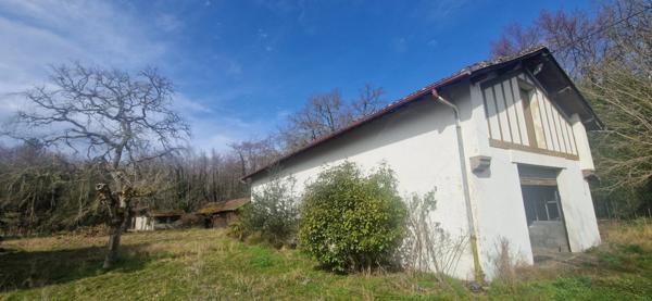 Maison à vendre 8 pièces LOSSE (40)