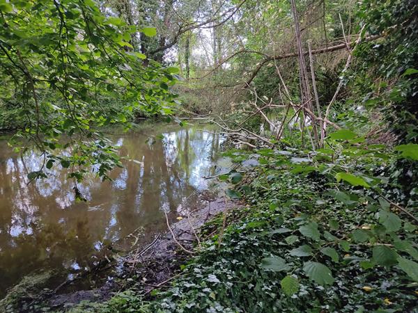 Terrain Dannemois 1156 m2