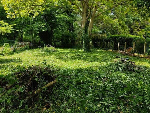 Terrain Dannemois 1156 m2