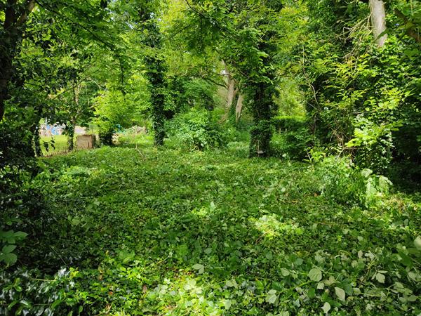 Terrain Dannemois 1156 m2