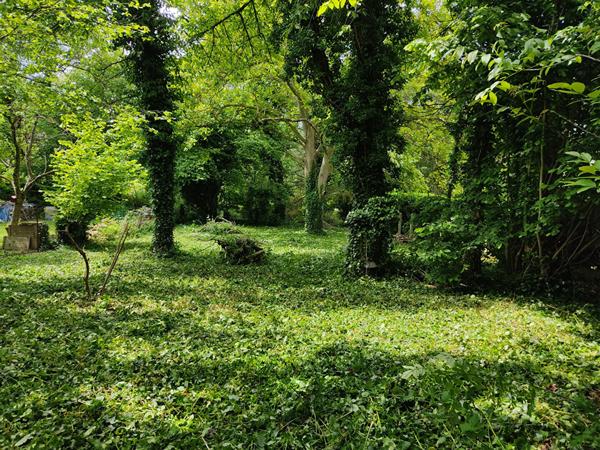 Terrain Dannemois 1156 m2