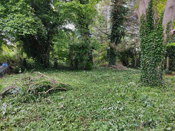 Terrain Dannemois 1156 m2