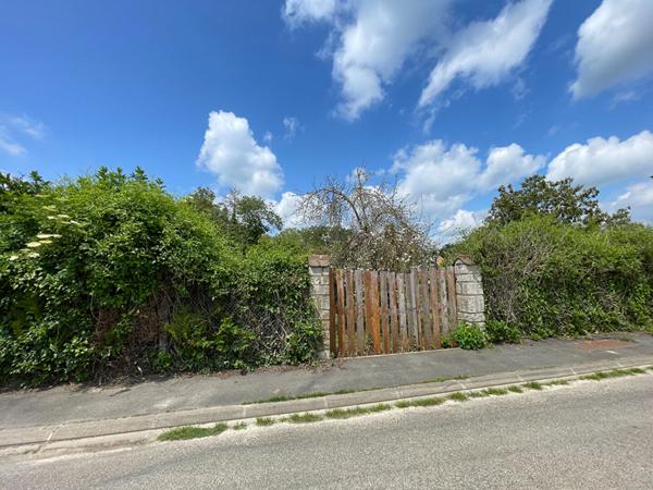 Terrain Dannemois 1156 m2