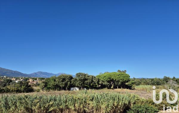 Appartement à vendre 3 pièces 58 m² Lucciana