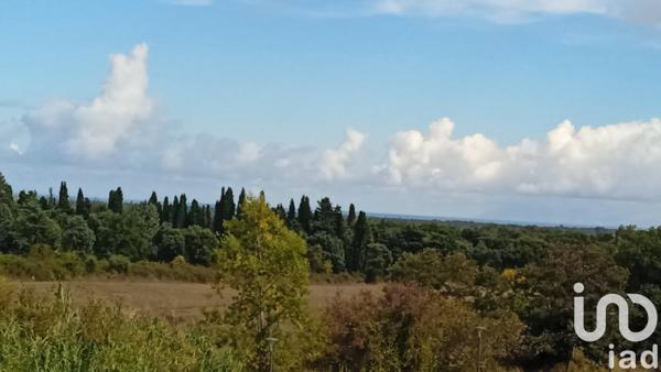 Appartement à vendre 3 pièces 58 m² Lucciana