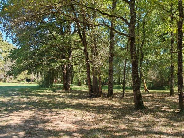 Propriété privée de caractère avec étang, prairies et hébergements sur plus de 7 hectares