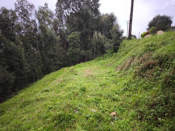 Terrain constructible SORBO OCAGNANO