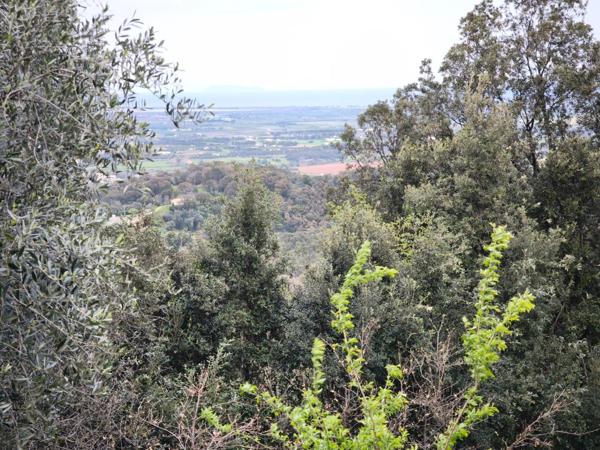 Terrain constructible SORBO OCAGNANO