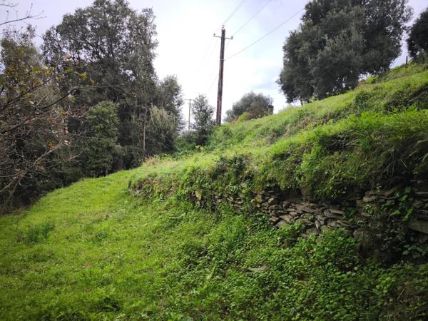 Terrain constructible SORBO OCAGNANO