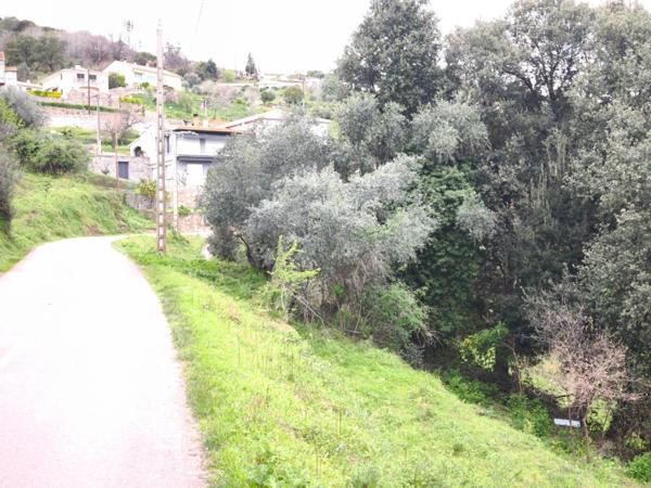 Terrain constructible SORBO OCAGNANO