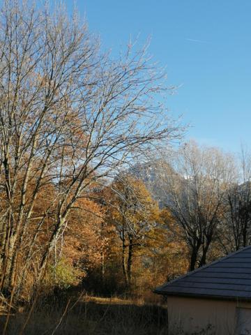 Terrain idéal pour tous types de projets!!