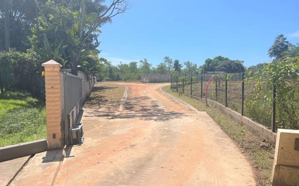 Terrain à vendre    Matoury