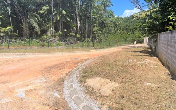 Terrain à vendre    Matoury