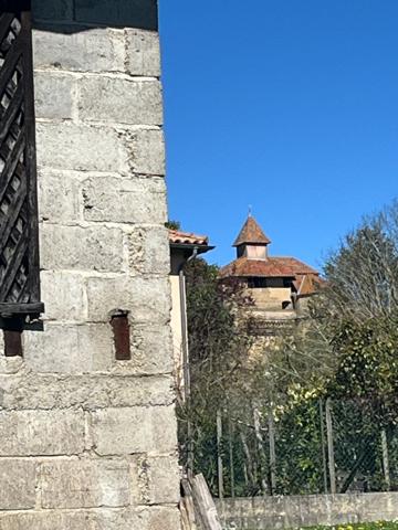 MARCIAC et PLAISANCE proches, VUE PYRENEES depuis cette BELLE MAISON DE FAMILLE 215m2, grandes dépendances , sur 1750m2 de jardin, dans village patrimonial.
