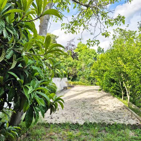 Demeure de 564,97 m²