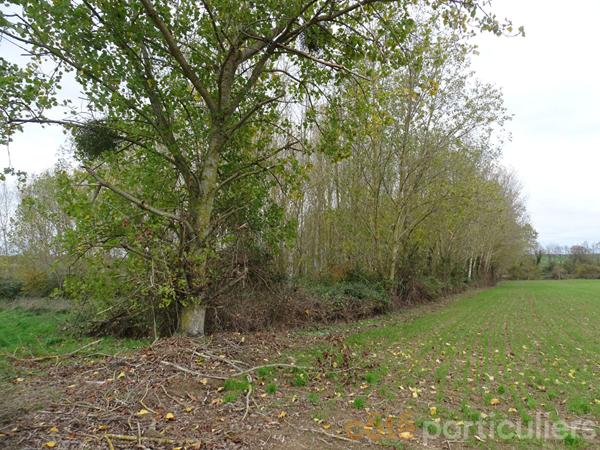 Vente Terrain109730 m² - st baudel (18160)