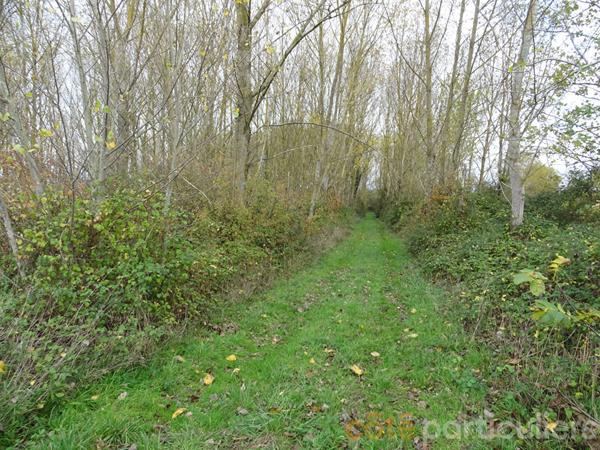 Vente Terrain109730 m² - st baudel (18160)