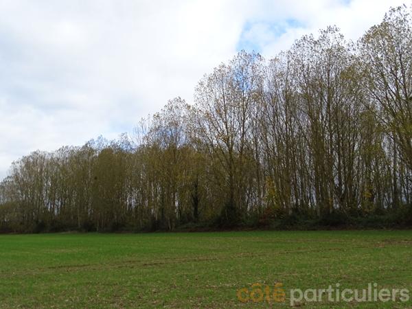 Vente Terrain109730 m² - st baudel (18160)