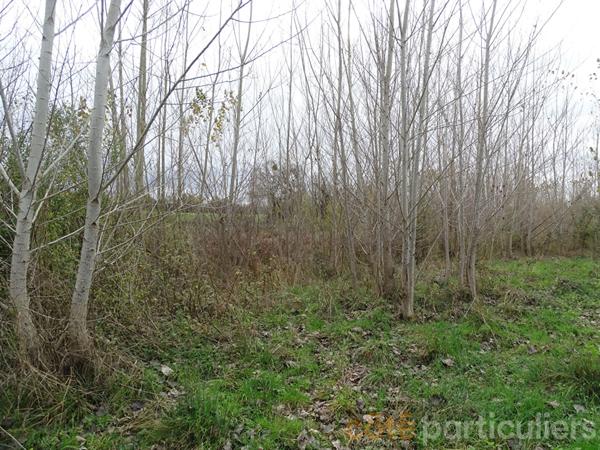 Vente Terrain109730 m² - st baudel (18160)