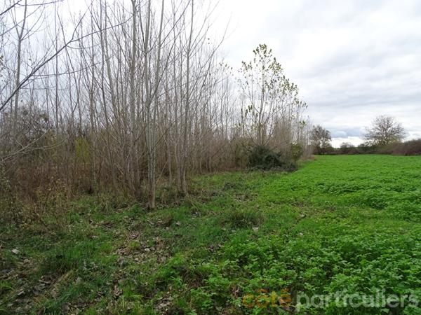 Vente Terrain109730 m² - st baudel (18160)