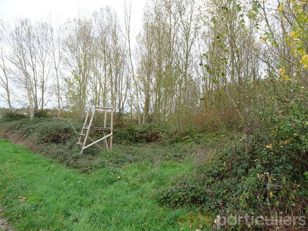 Vente Terrain109730 m² - st baudel (18160)