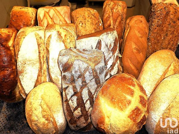 Boulangerie à vendre 115 m² Quimper