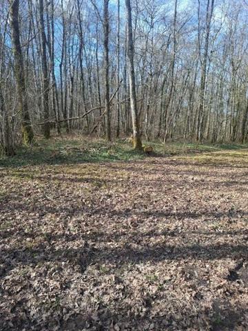 Étang à vendre à Humbligny dans le Cher (18250), ref : 18016/2131