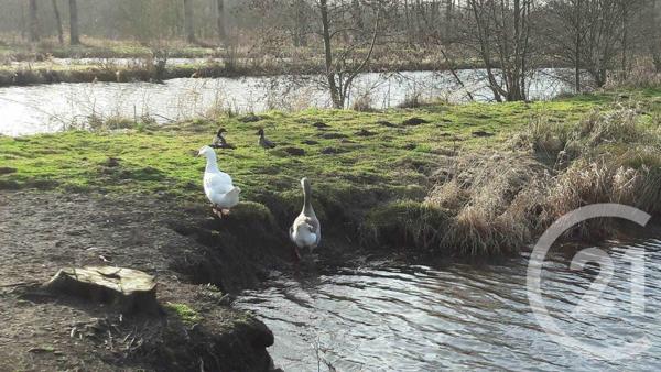 Terrain à vendre  16361 m2 MONTREUIL SUR MER - 62