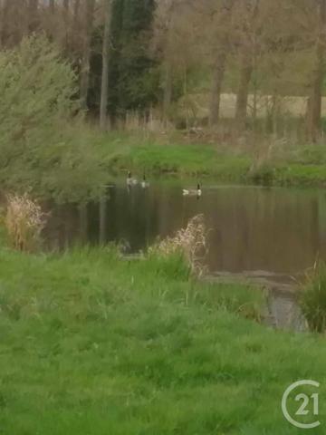 Terrain à vendre  16361 m2 MONTREUIL SUR MER - 62