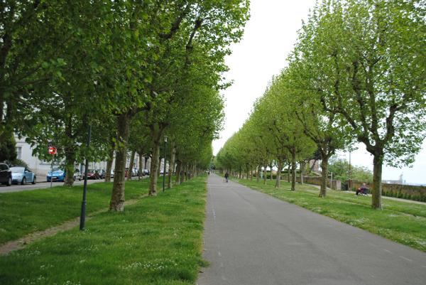 BREST CENTRE SIAM , Brest