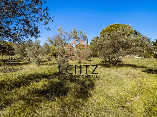 Terrain de 2278 m² – Libre constructeur