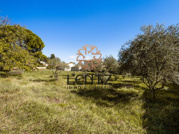 Terrain de 2278 m² – Libre constructeur