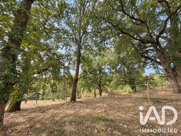 Maison à vendre 12 pièces 432,27 m² Louslitges